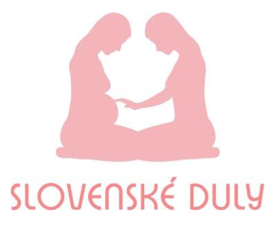 duly logo